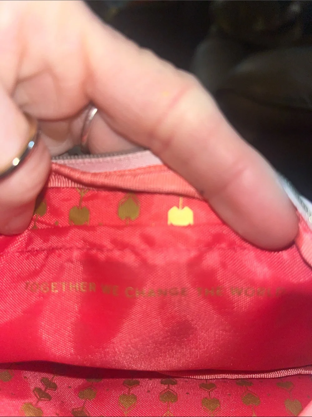 Me to We makeup bag, Velvet Jewelry Pouch deep pink Make me Pretty Pouch C57